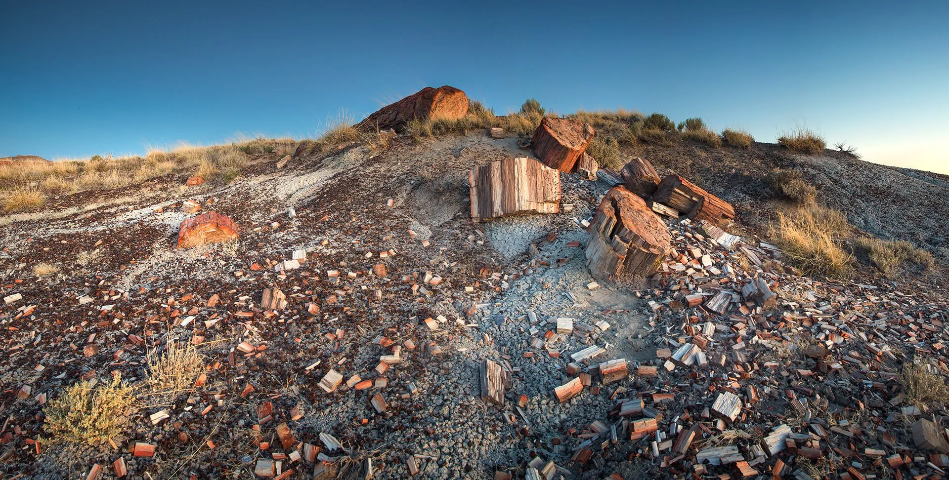 Image of Petrified Forest National Park at Sundown