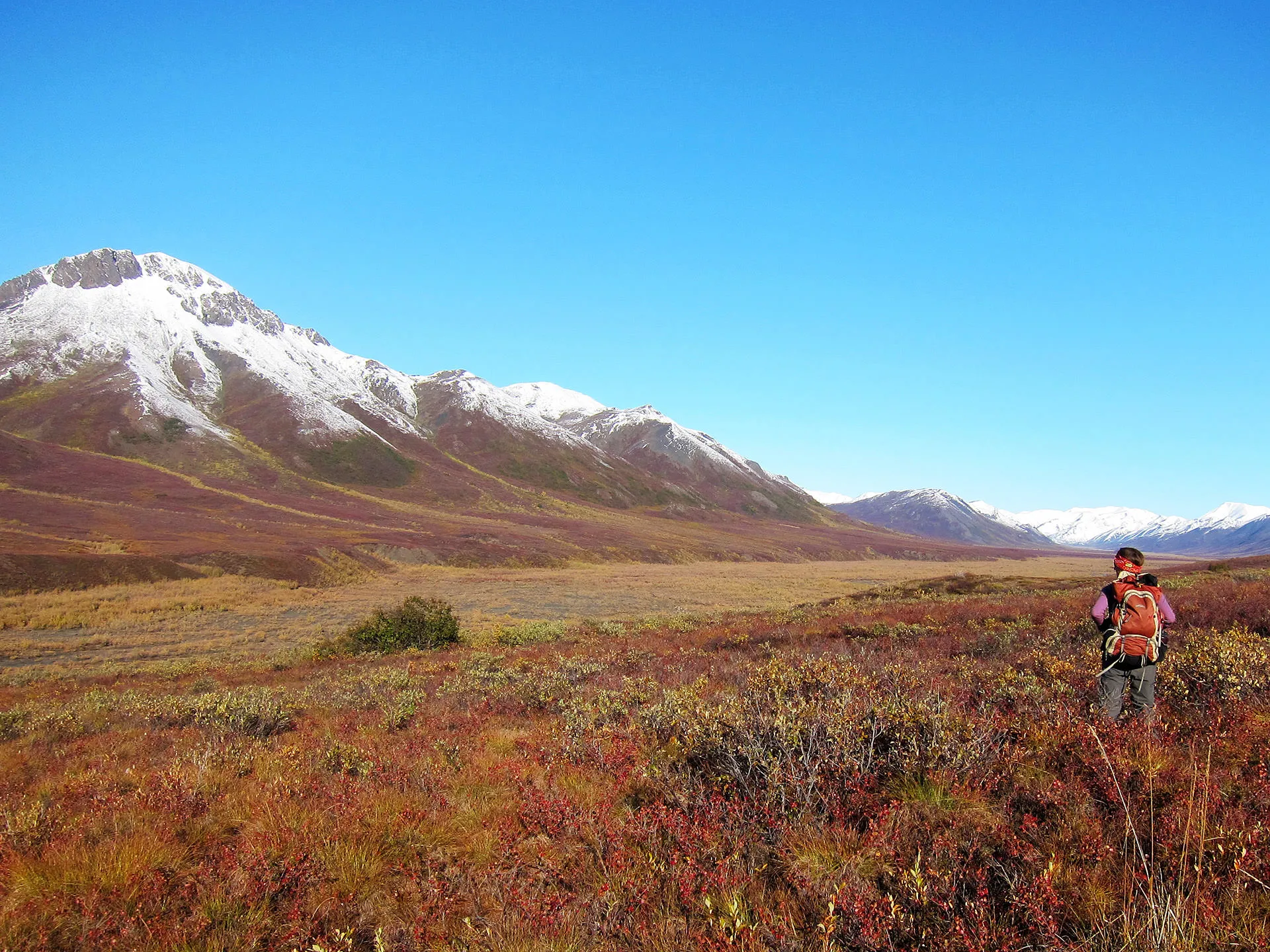 Image of hiker near snow-capped mountains at Noatak National Preserve
