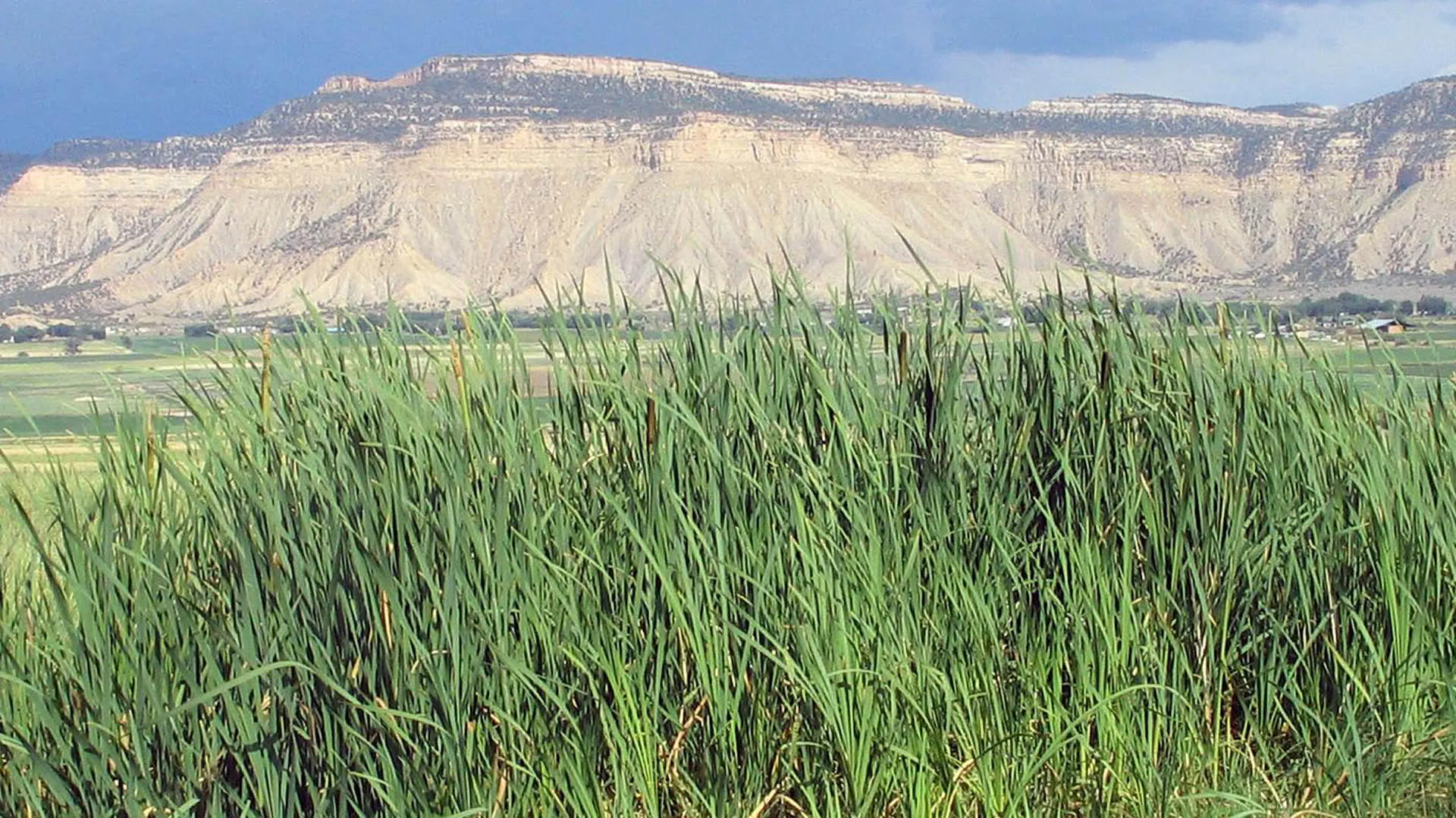 Image of mountains surrounding Yucca House National Monument