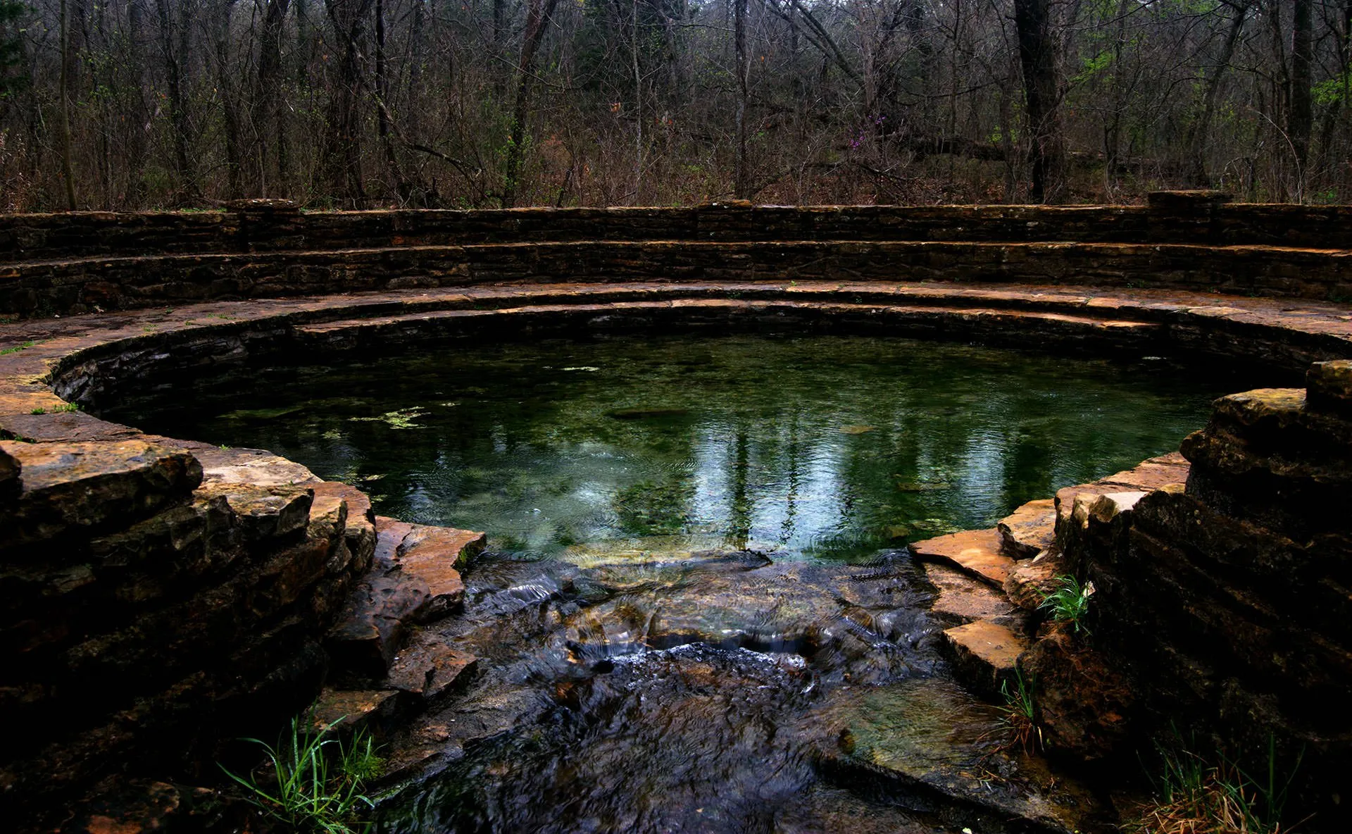Body of water in woods