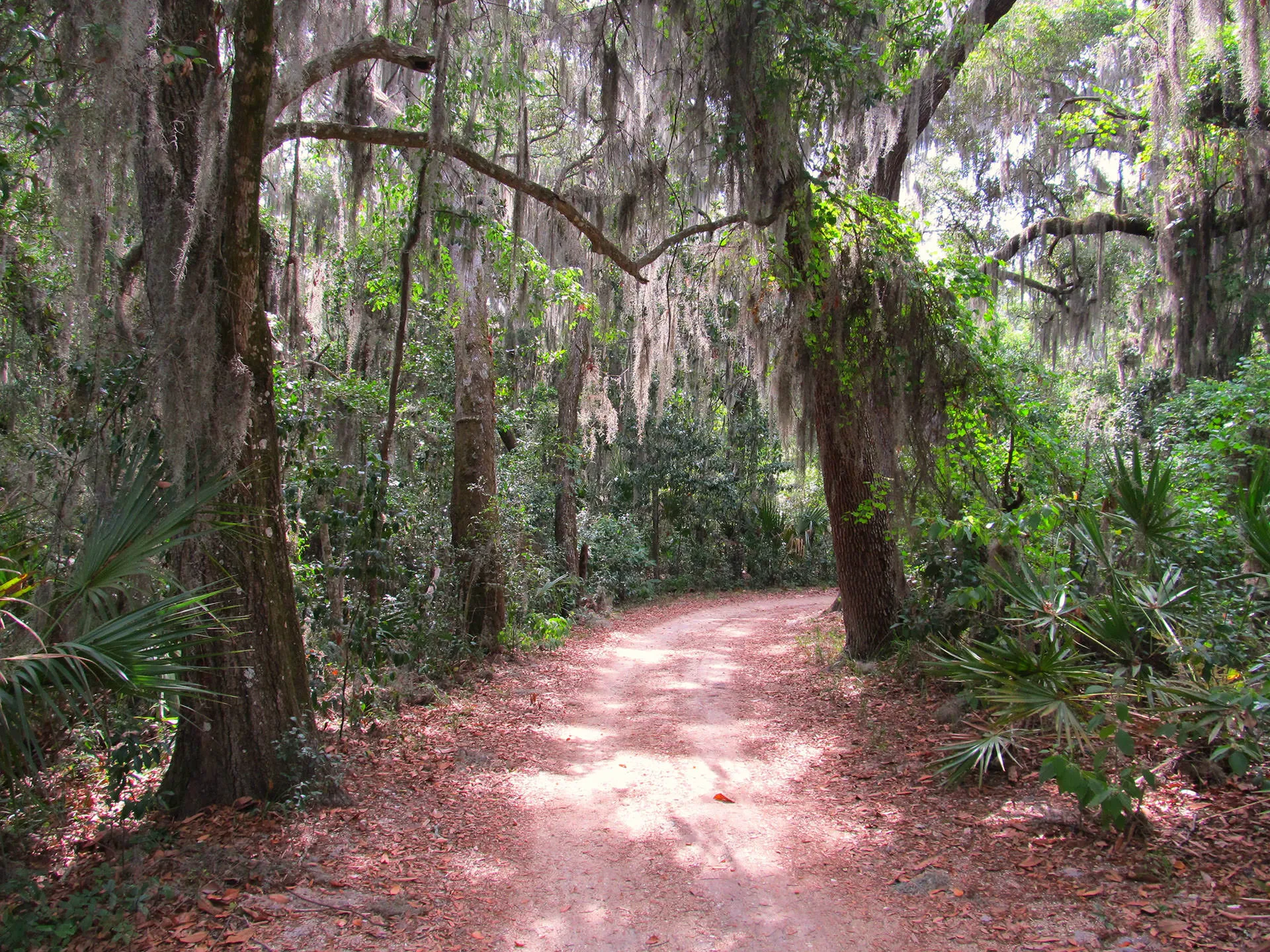 Dirt trail at Fort Caroline National Memorial