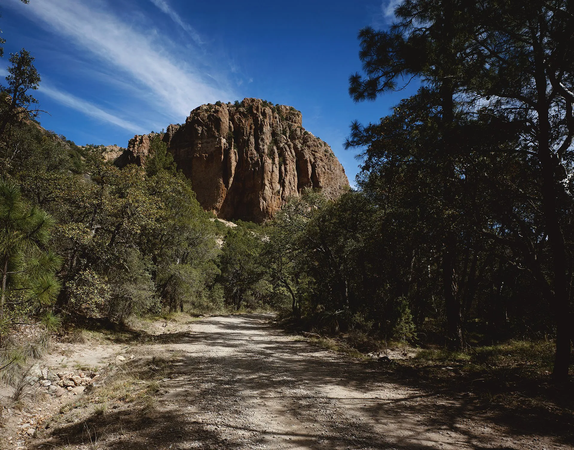 Mountain and trees