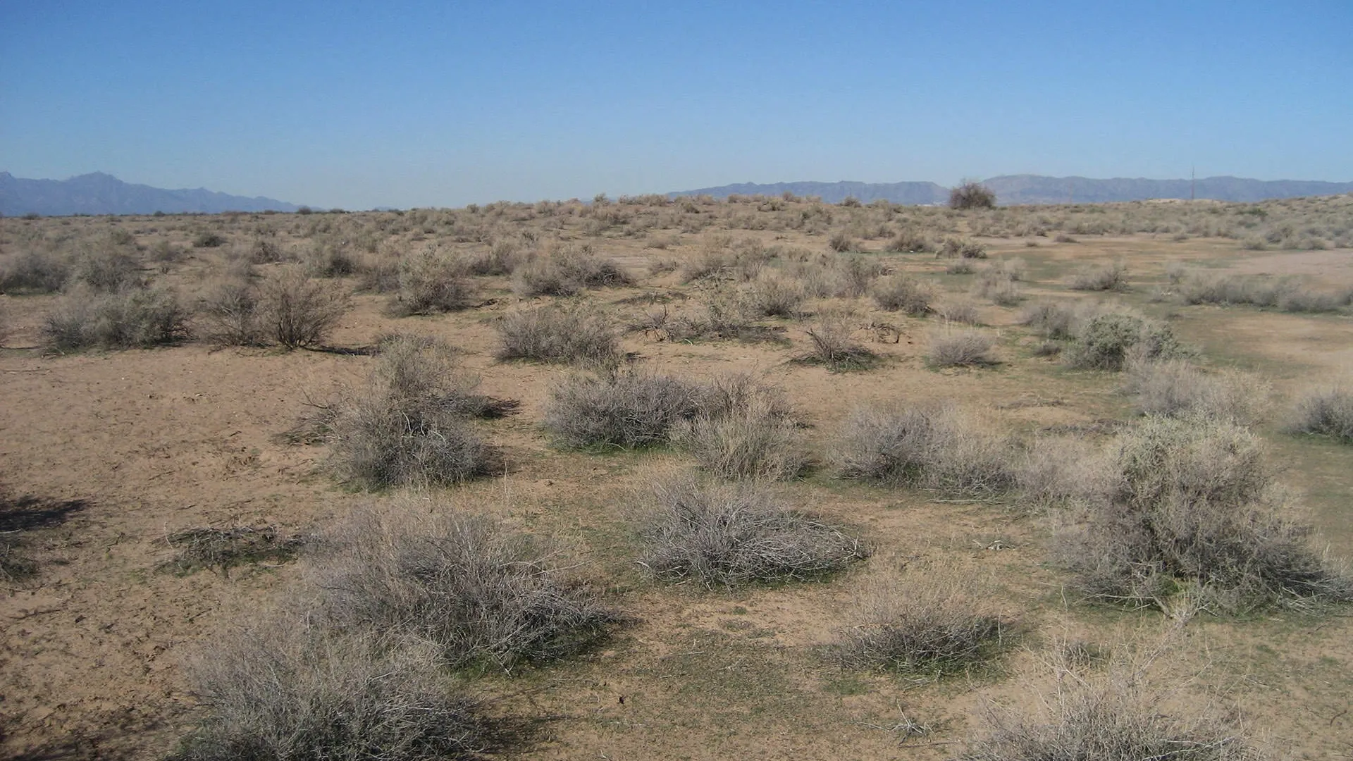 Desolate landscape with bits of green
