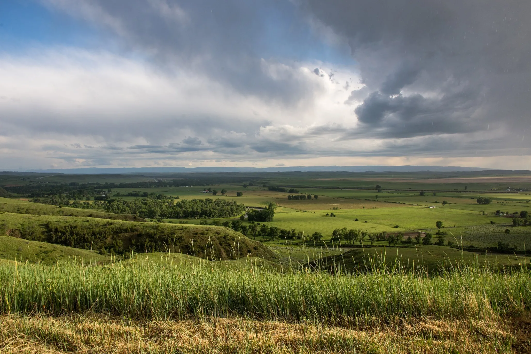 Grassland at Little Bighorn