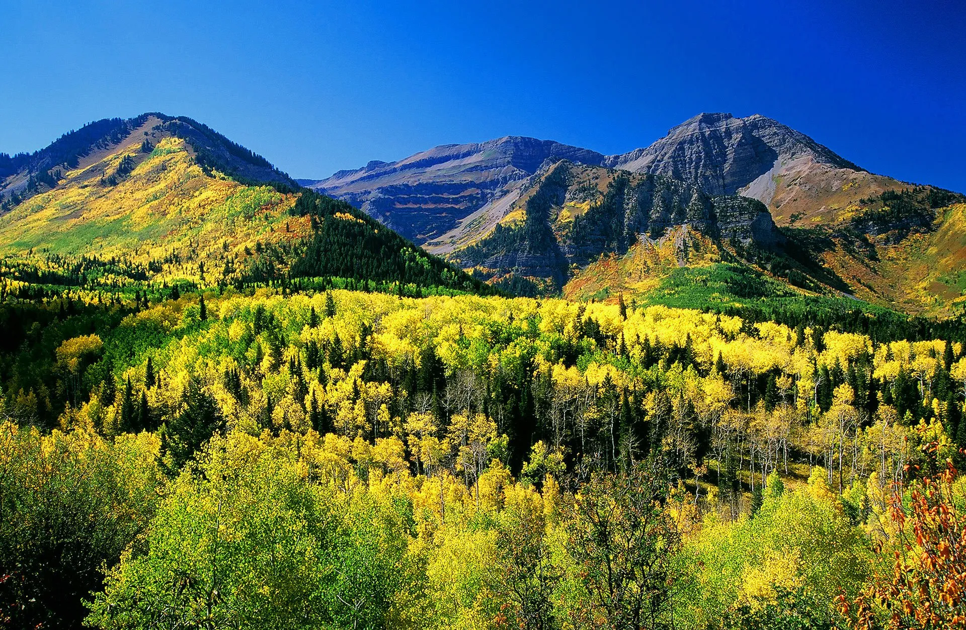 Mount Timpanogos