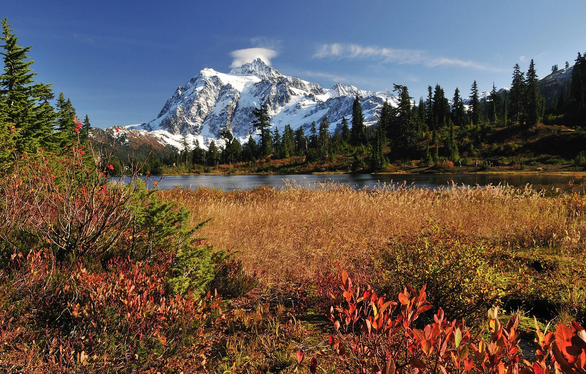 North Cascades Mountains with flower fields