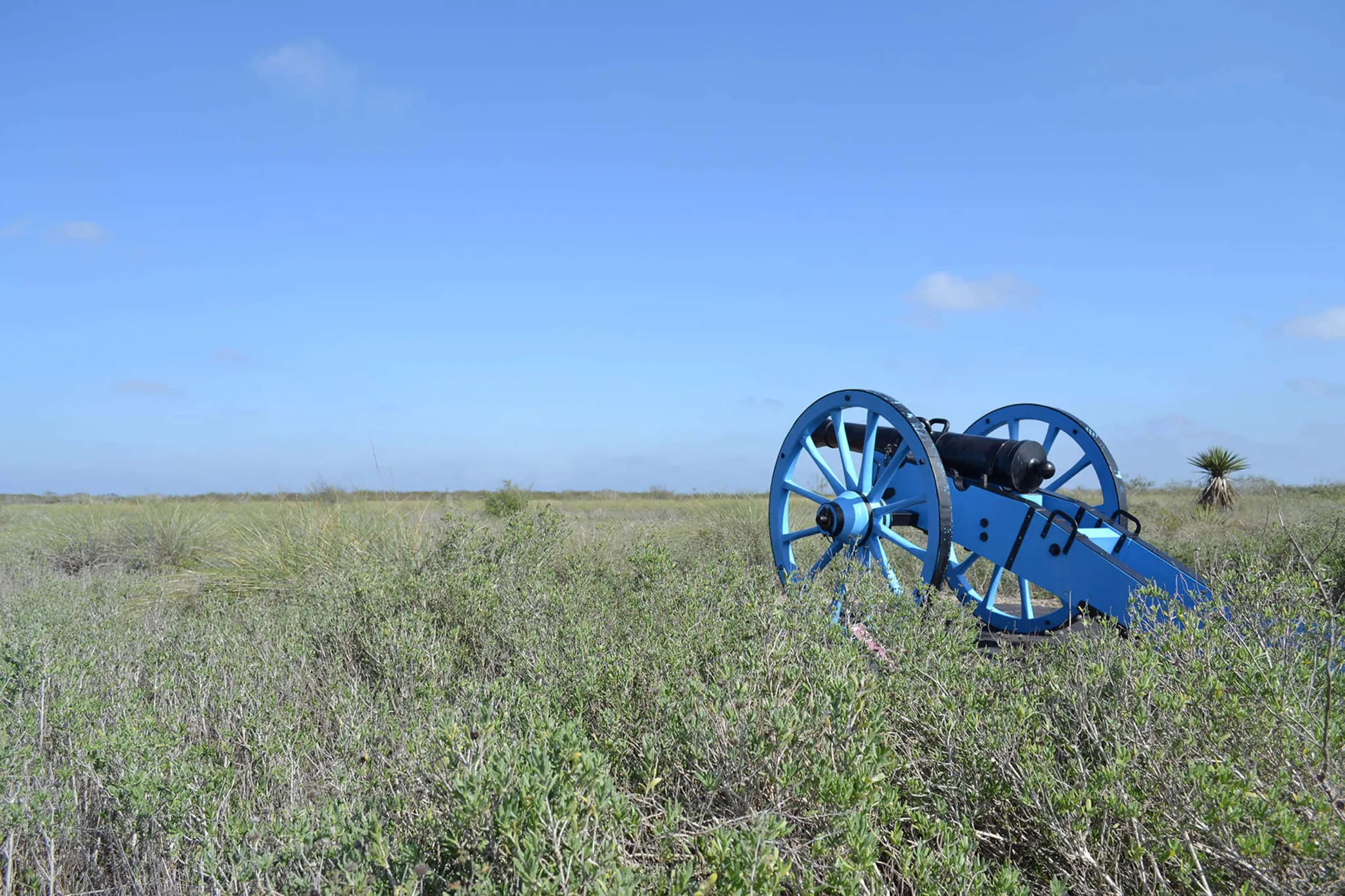 Blue cannon in tall grass