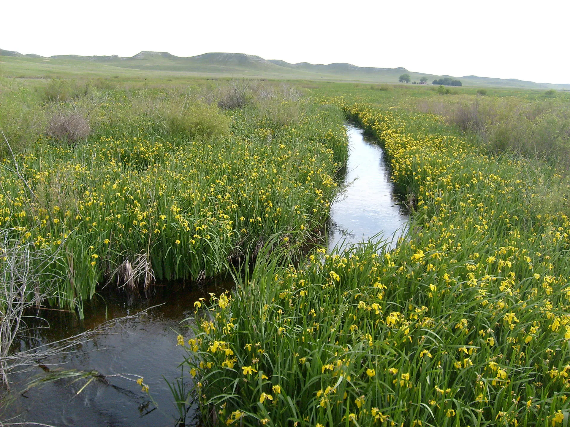 Image of Park and waterway expanse in Niobara National Park