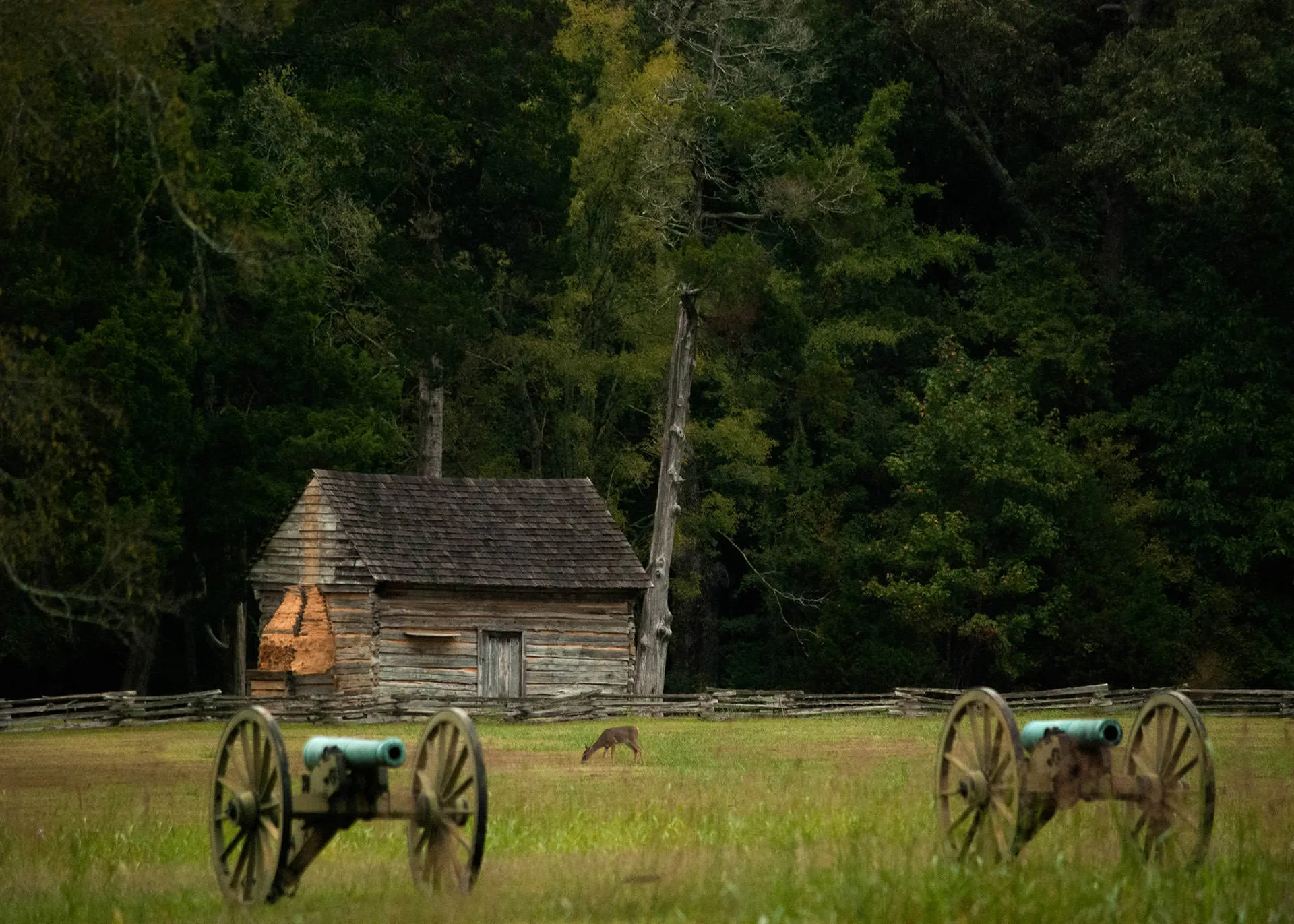 Cabin at Shiloh National Military Park