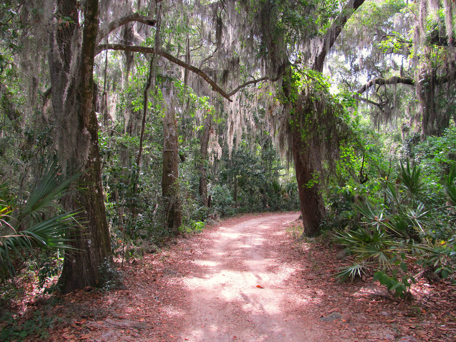 Fort Caroline National Memorial | Find Your Park