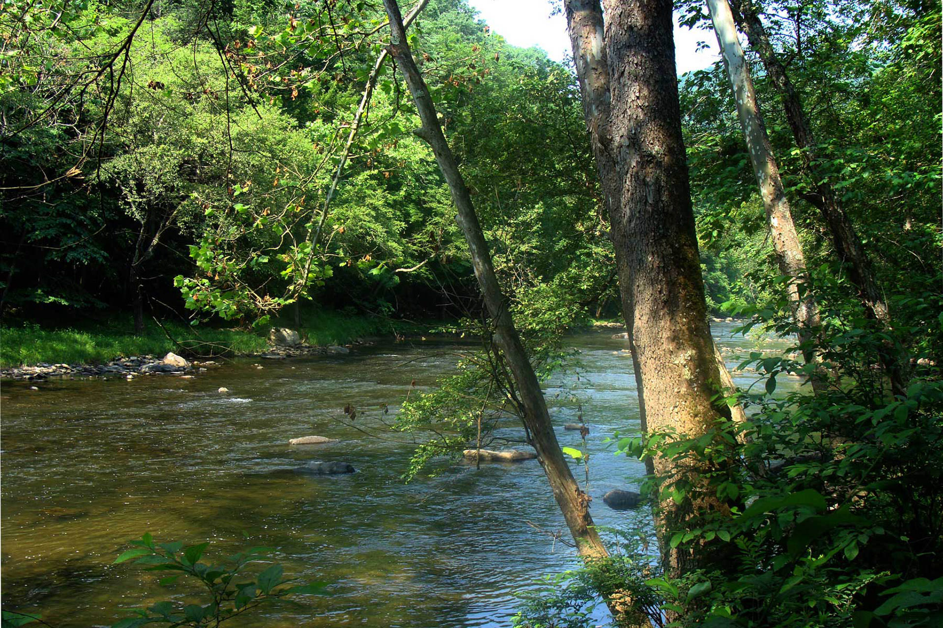 Bluestone National Scenic River 