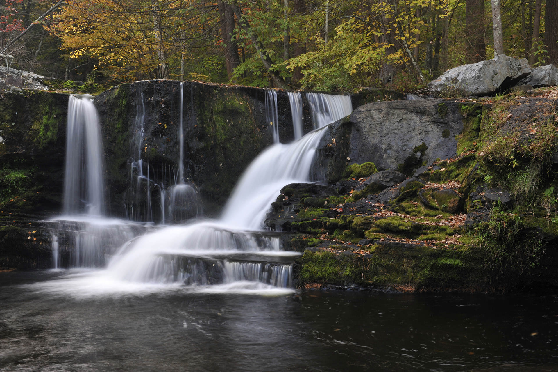 Área de recreación nacional de Delaware Water Gap Encuentra tu parque