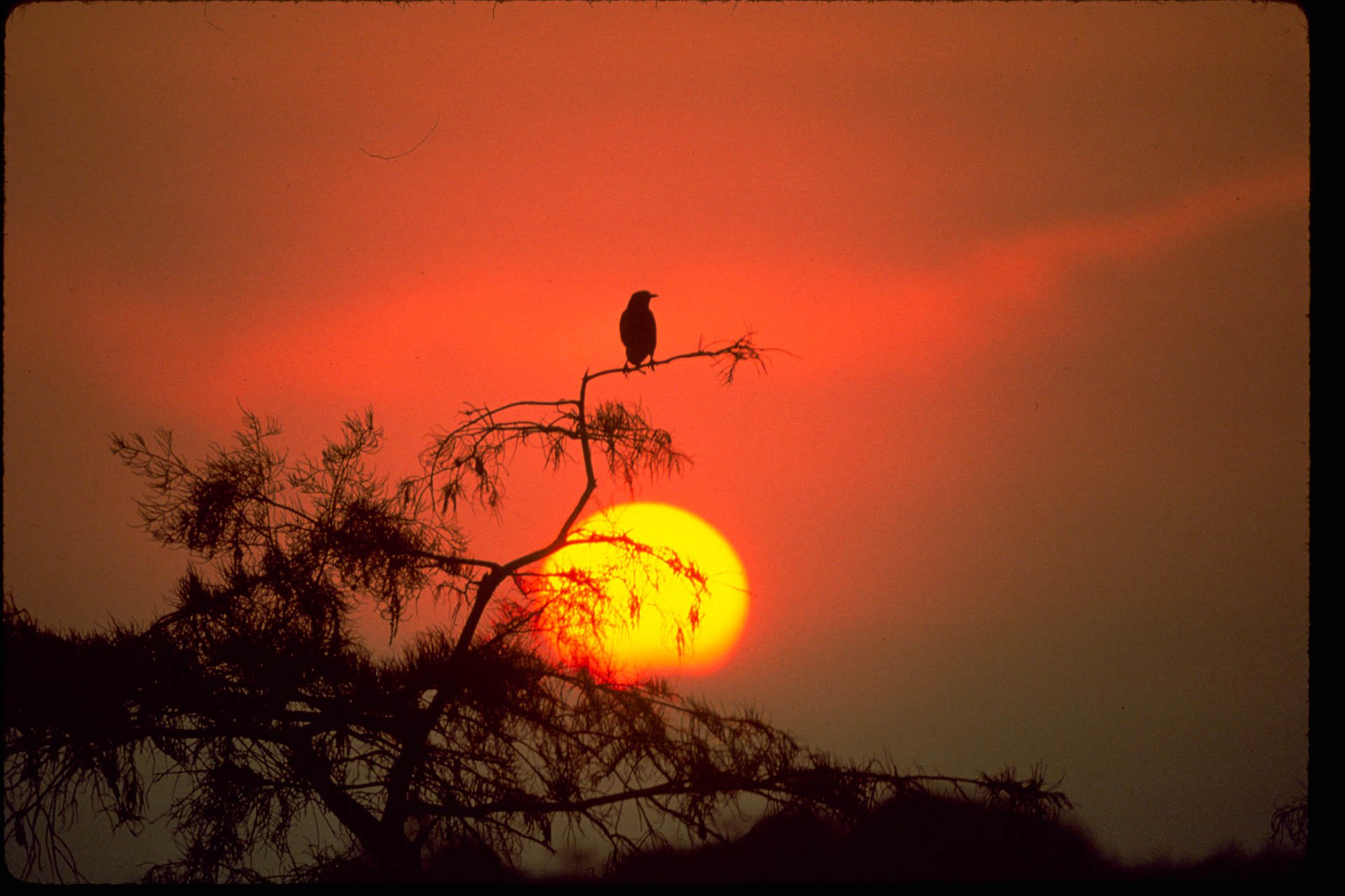 Parque Nacional Everglades | Encuentra tu parque