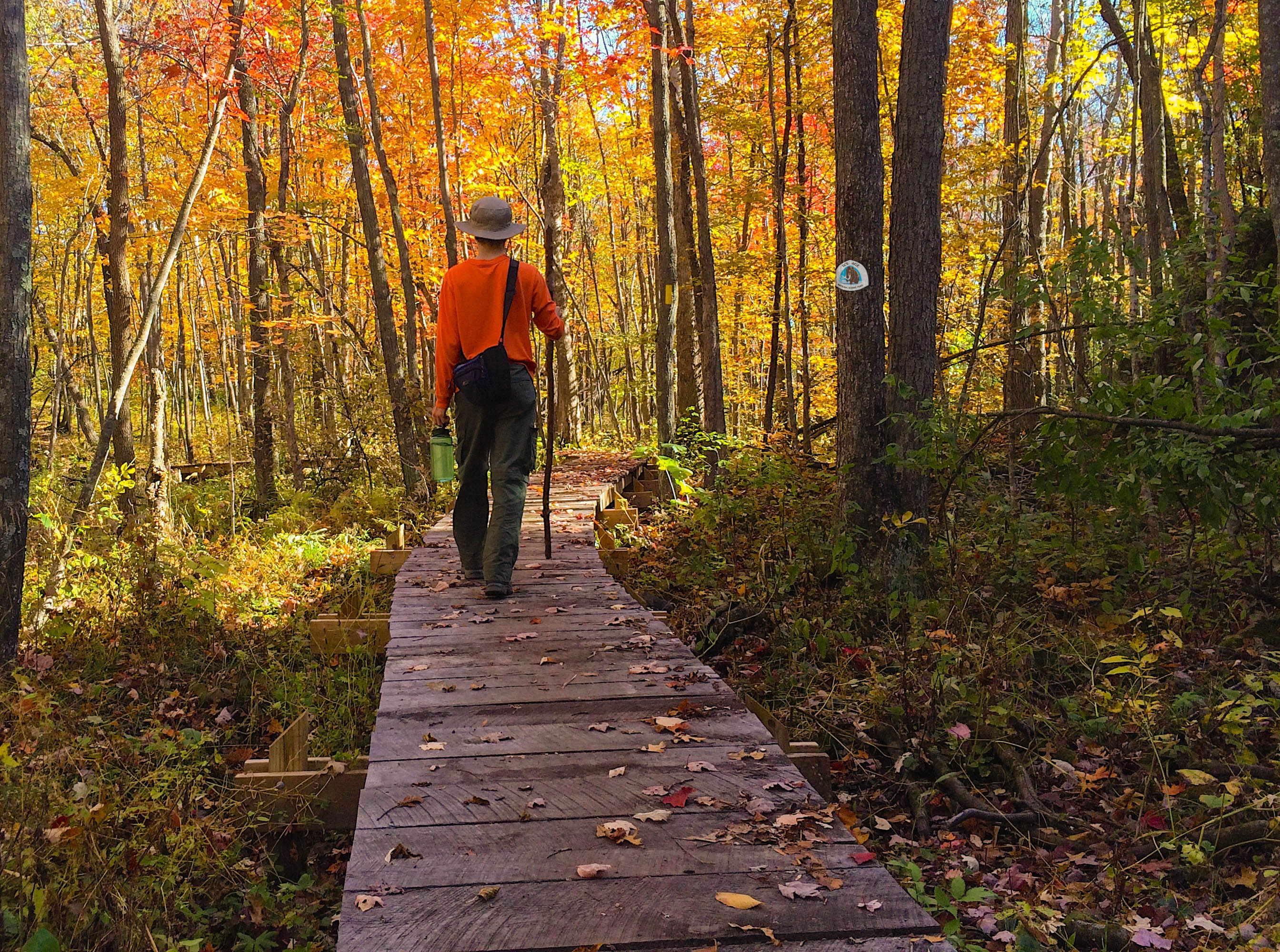 Ice Age National Scenic Trail | Find Your Park