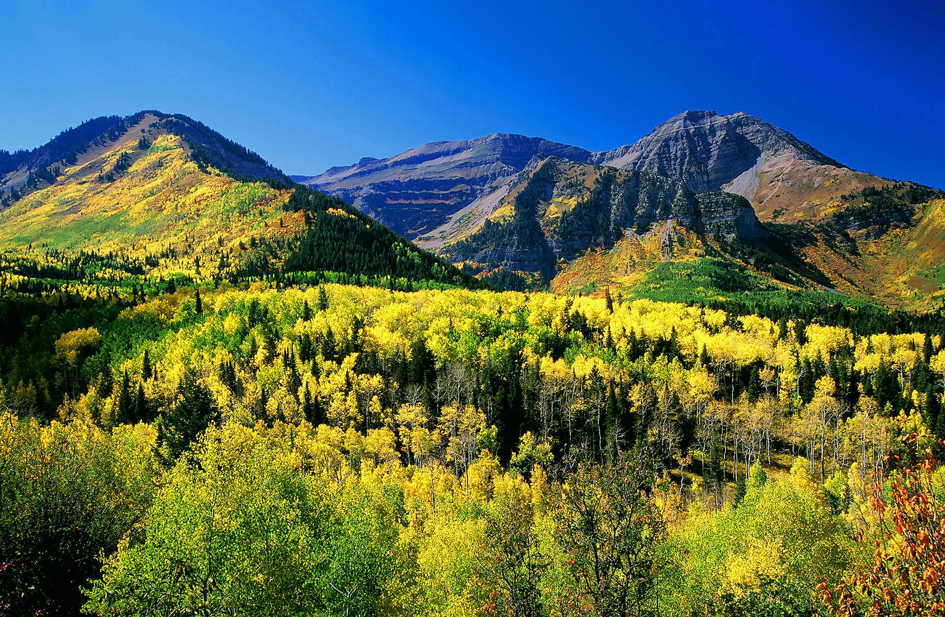 Timpanogos Cave National Monument Find Your Park