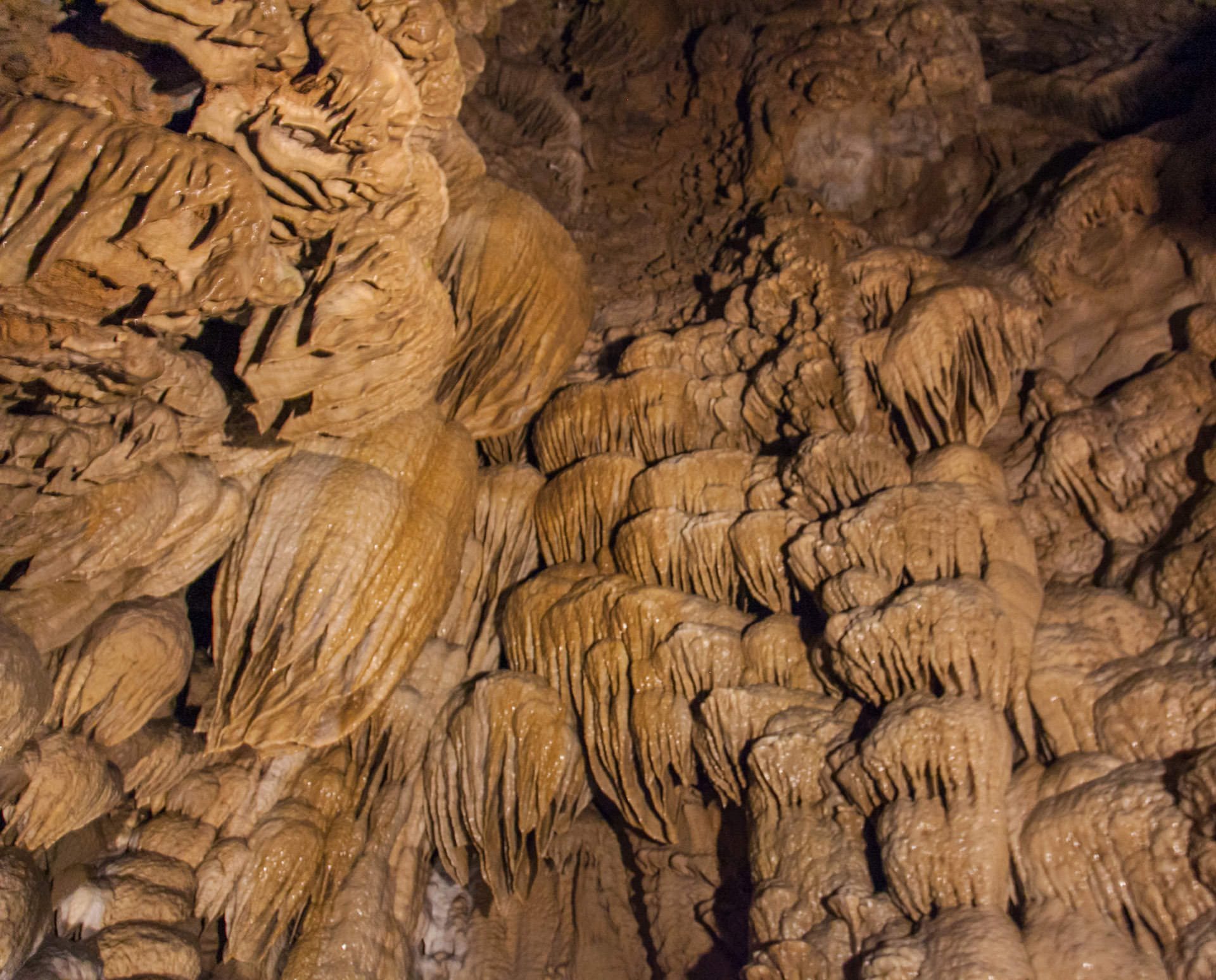 Oregon Caves National Monument | Find Your Park