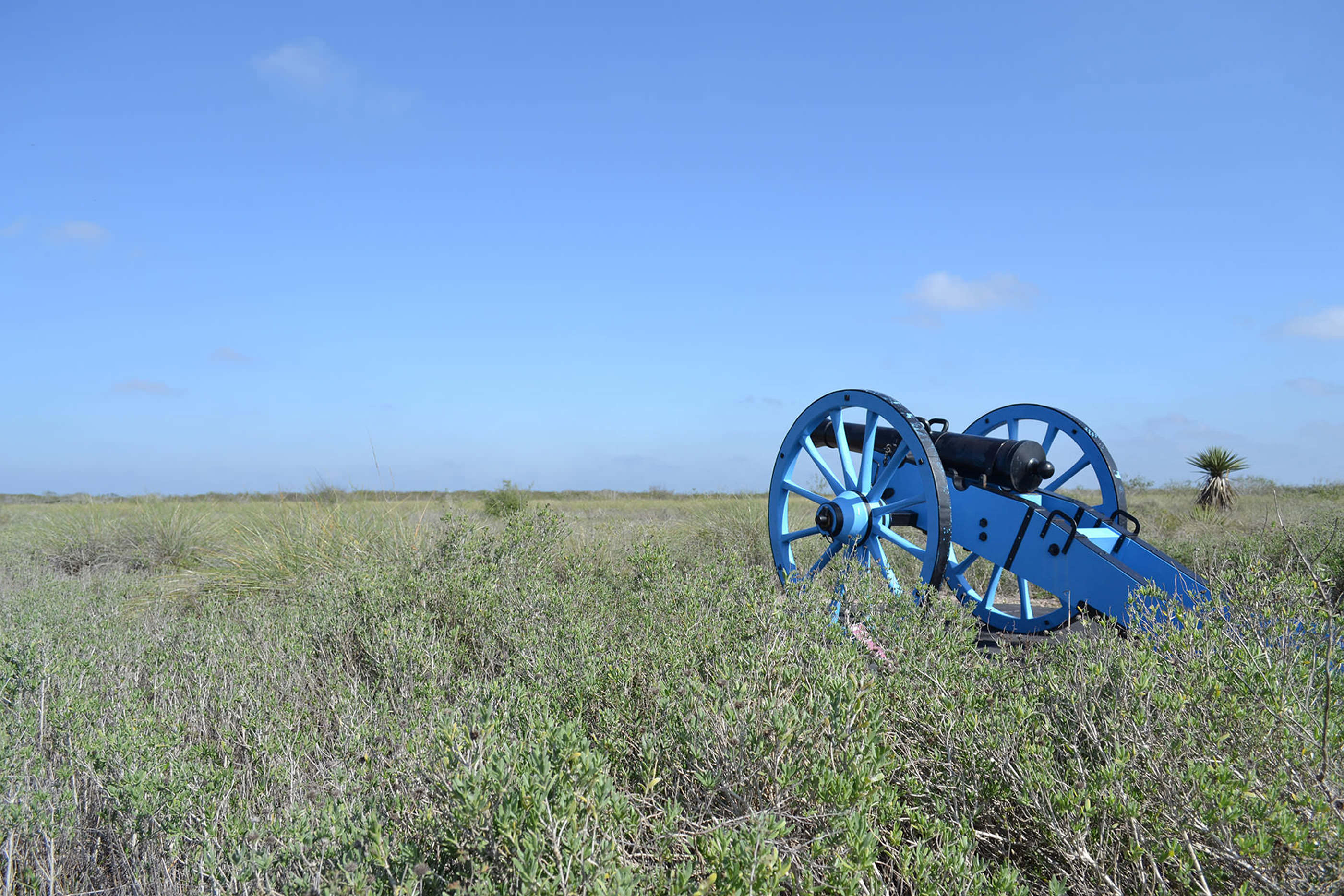 Parque Histórico Nacional de Palo Alto Battlefield | Encuentra tu parque