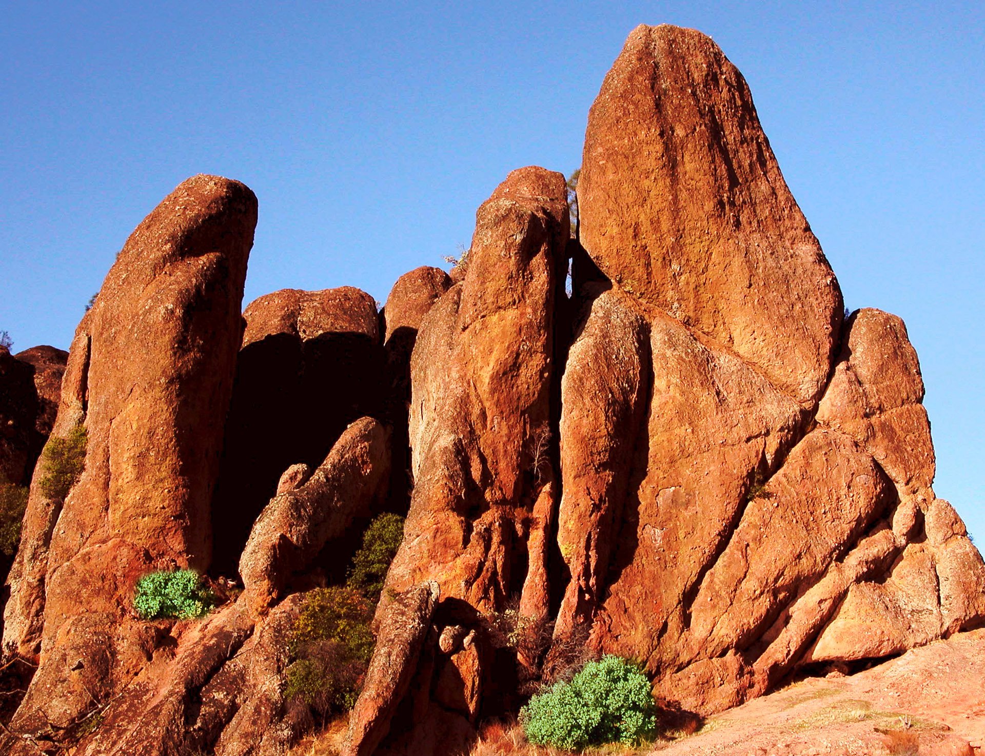 are dogs allowed in pinnacles national park