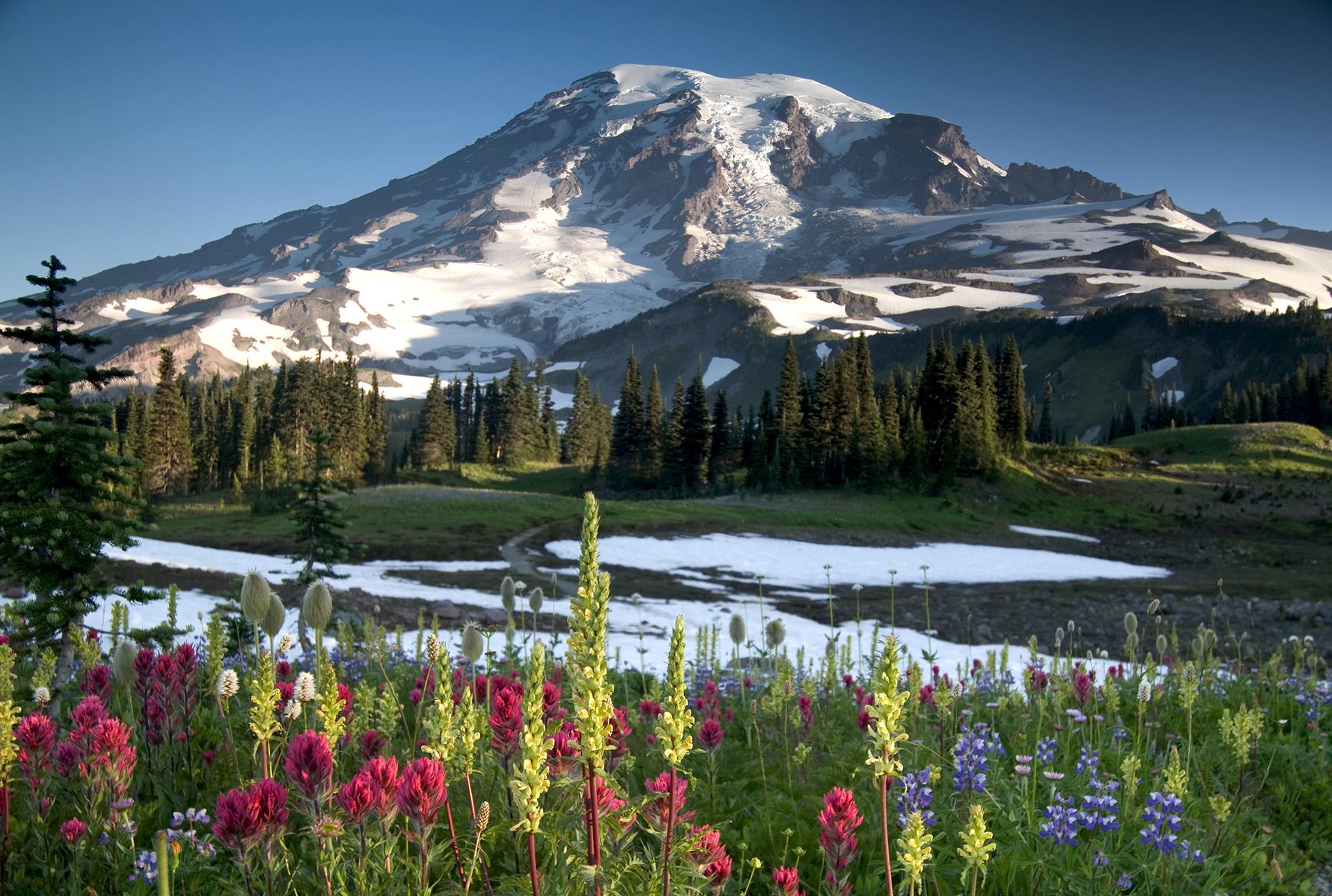 Mount Rainier National Park | Find Your Park