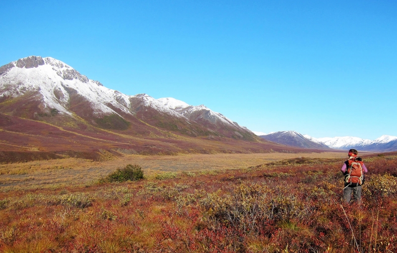 Image of hiker near snow-capped mountains at Noatak National Preserve 