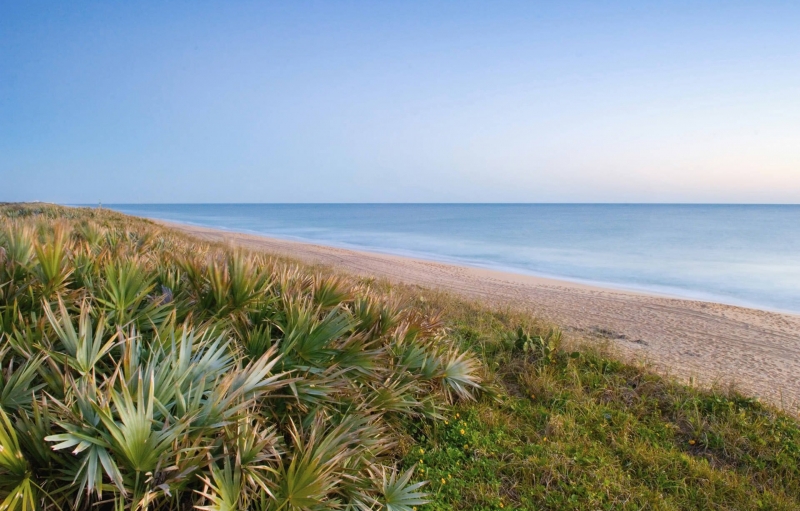 cape canaveral seashore park