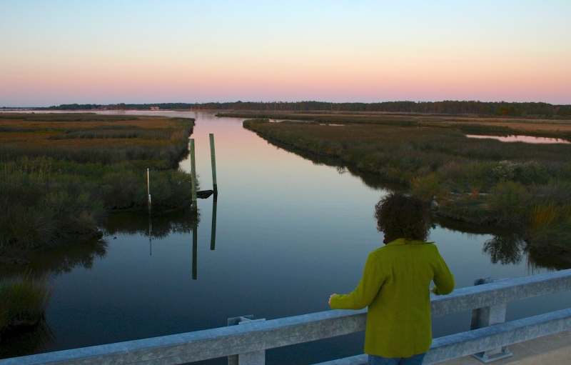 A visitor looks out over Stewart's Canal at dusk