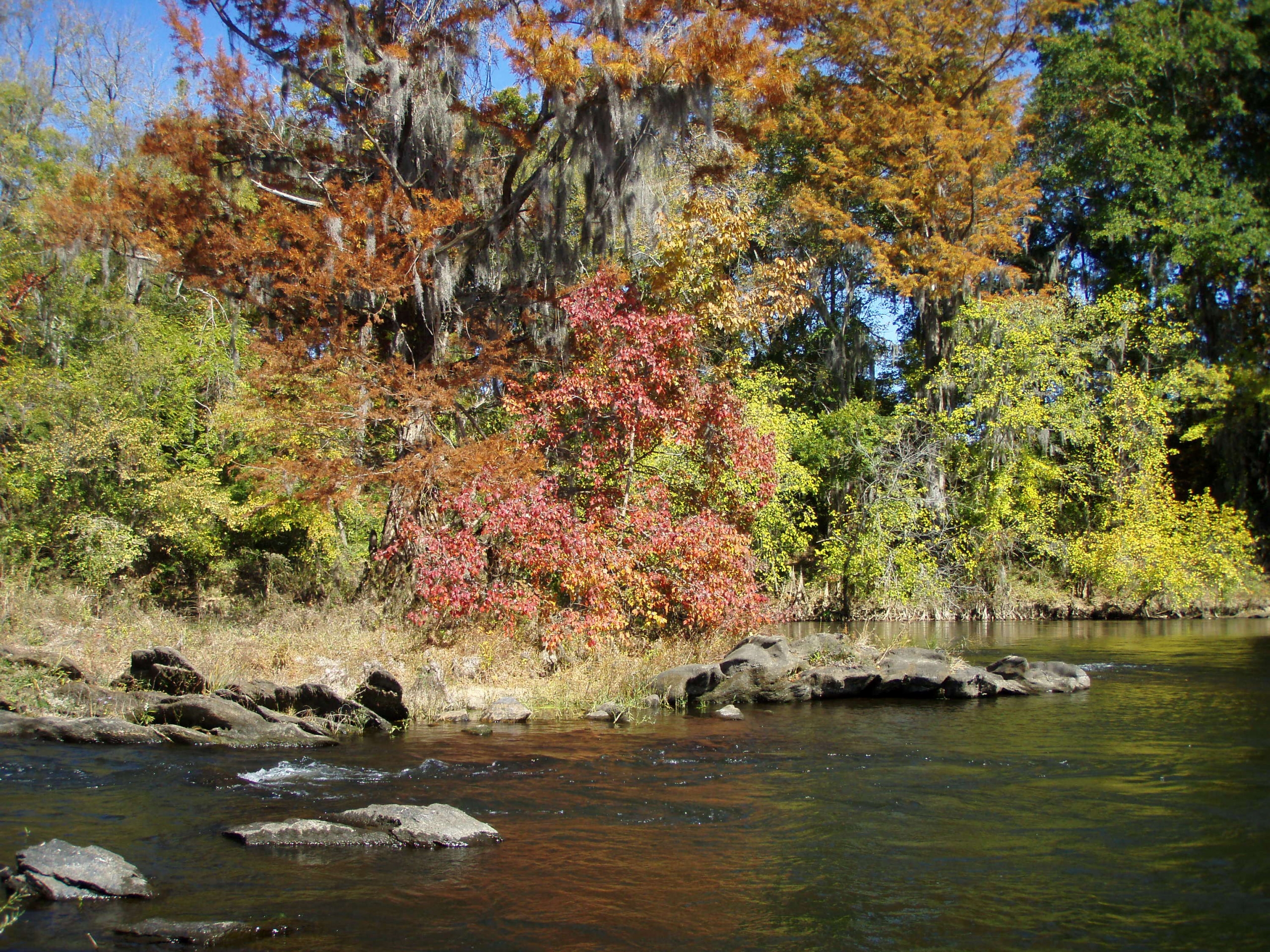 Red, orange, and green leaves on trees lining the banks of the Coosa River along the Alabama Scenic River Trail