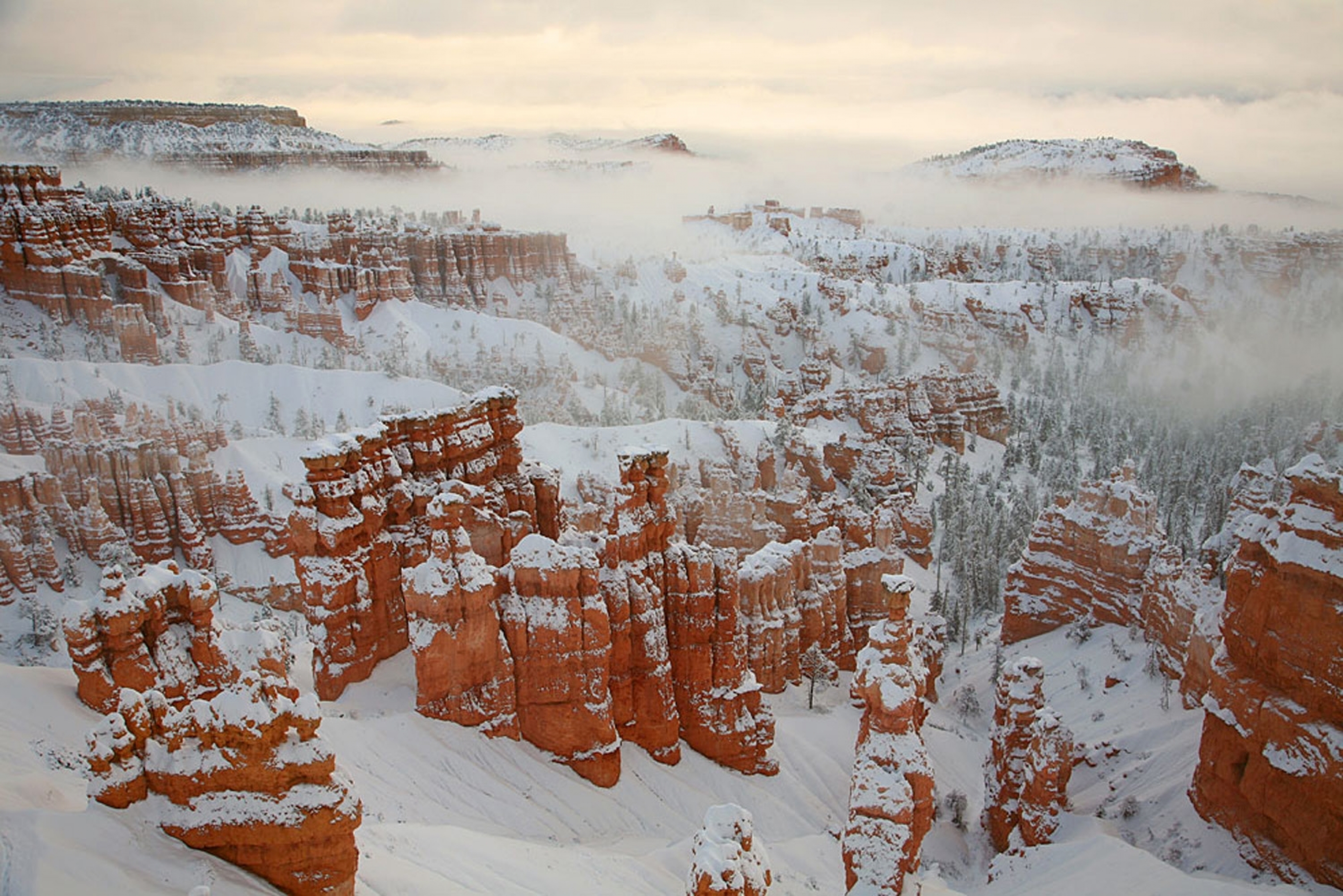 Snow and fog-covered red hoodoos at Bryce Canyon National Park