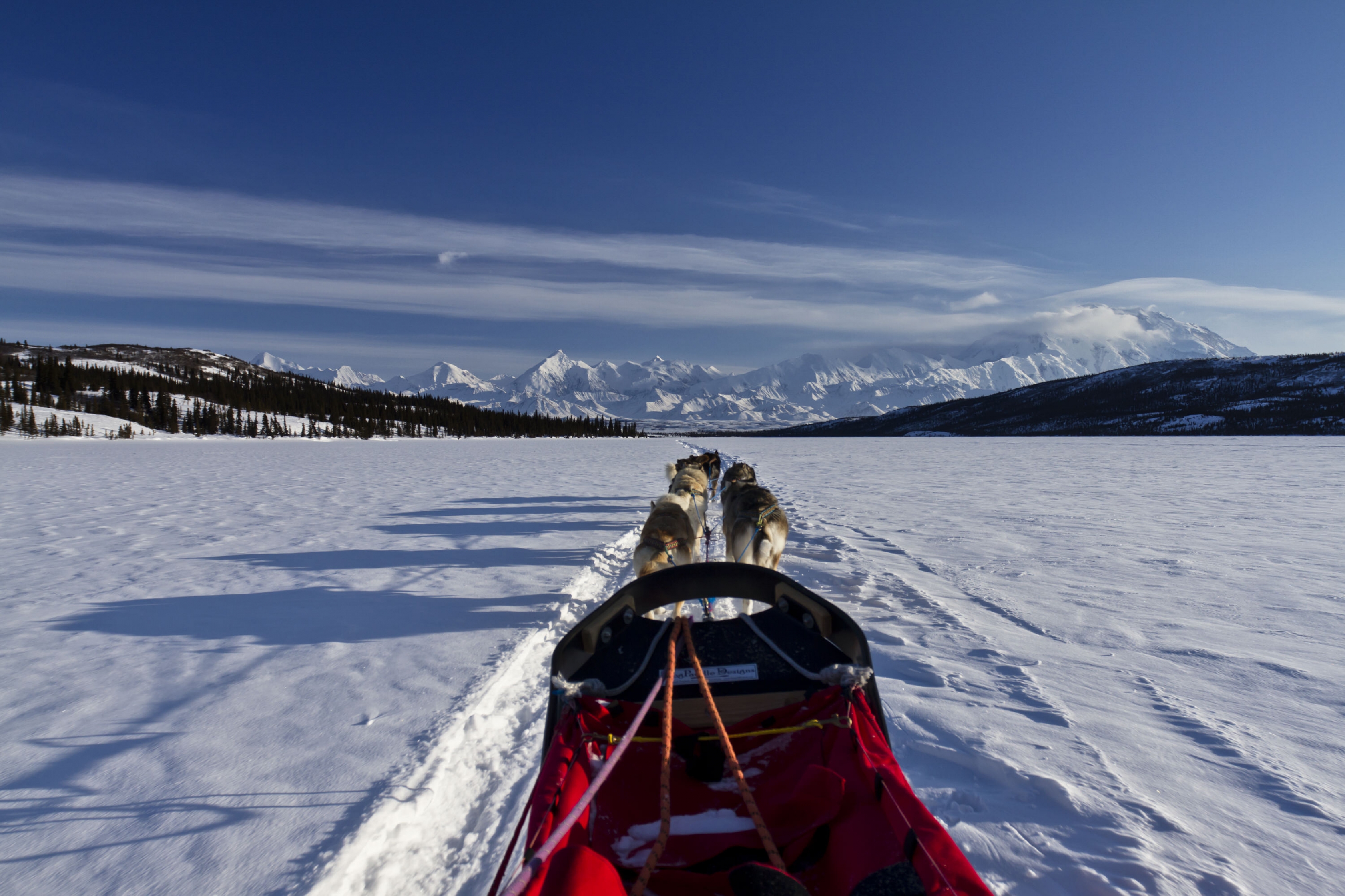 The view being a sled pulled by a dog team with mountains in front surrounded by snow at Denali National Park and Preserve