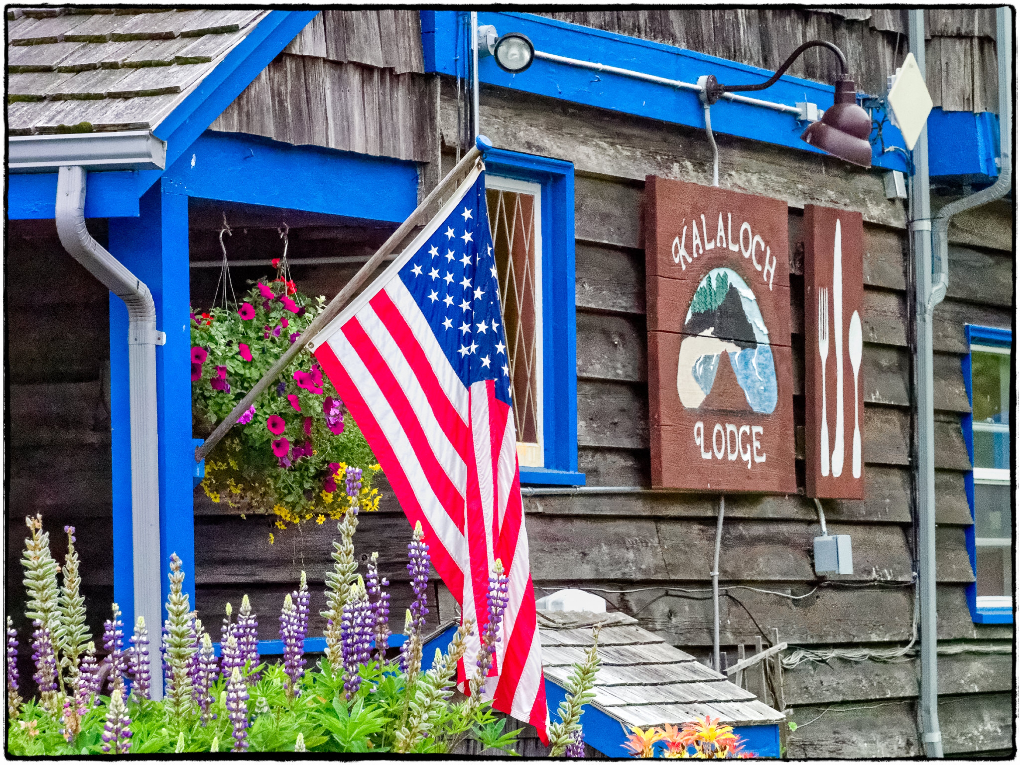 Kalaloch Lodge in Olympic National Park is a great option for food.