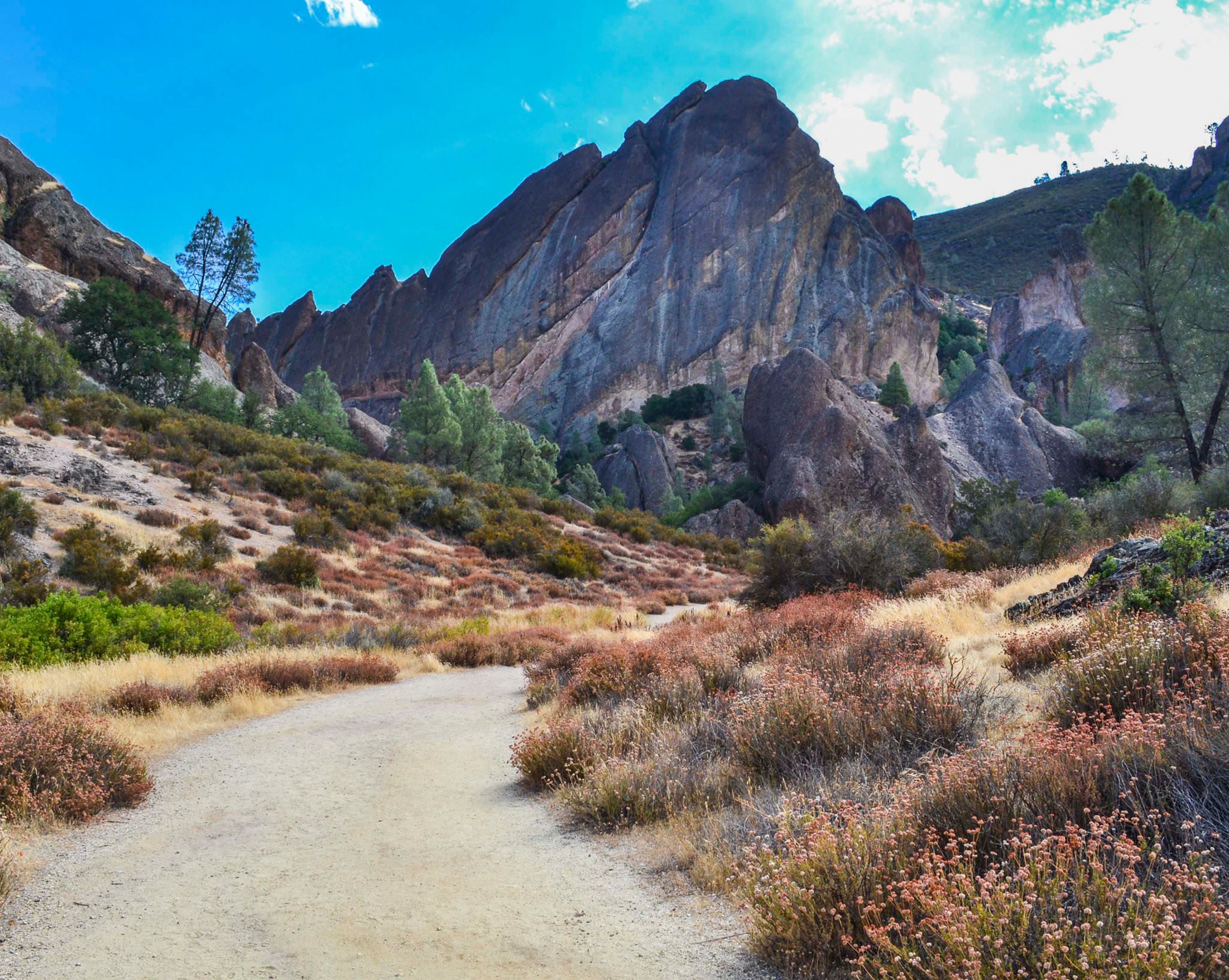 A landscape at Pinnacles National Park, formally a National Monument.