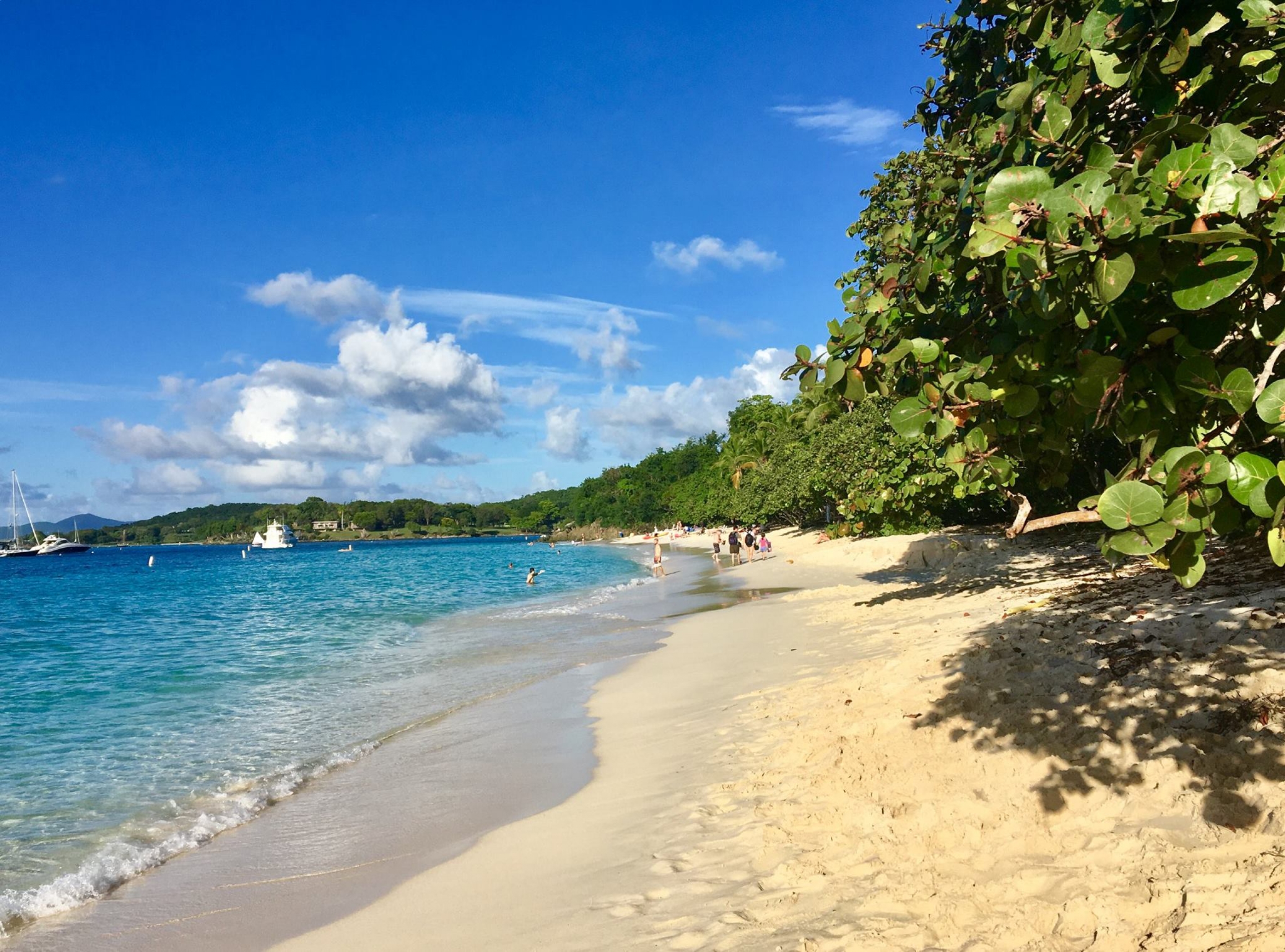 Soleada playa de arena blanca bordeada de árboles verdes junto al océano azul en el Parque Nacional de las Islas Vírgenes