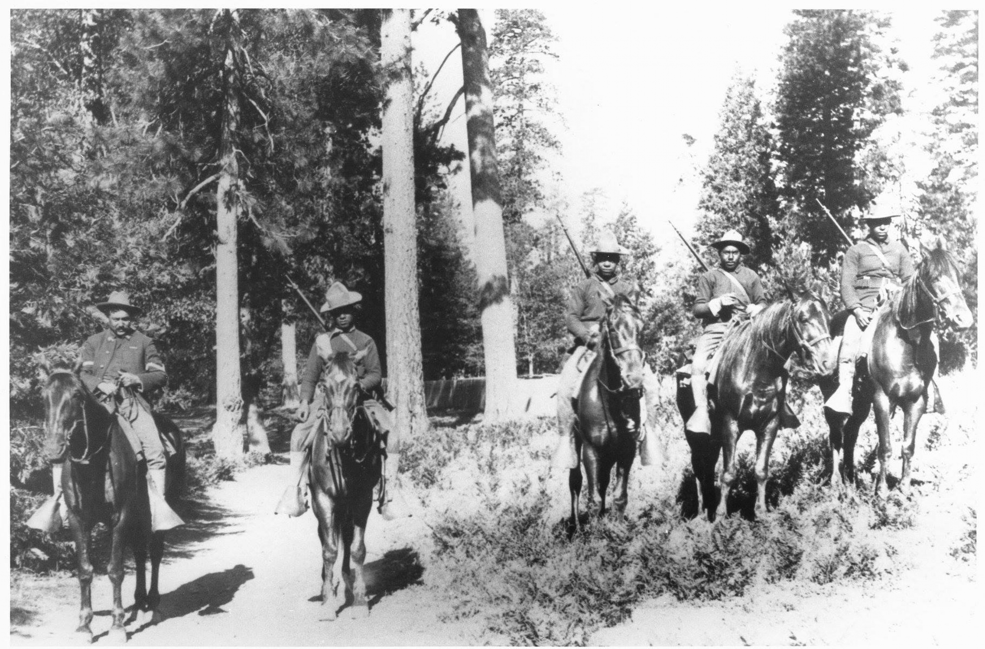 Historic black and white photo of the 24th Infantry Buffalo Soldiers on horseback patrolling in the woods of Yosemite National Park