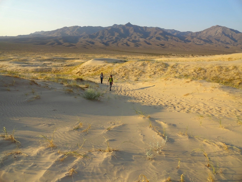 Imagen de expansivo de Mojave National Preserve