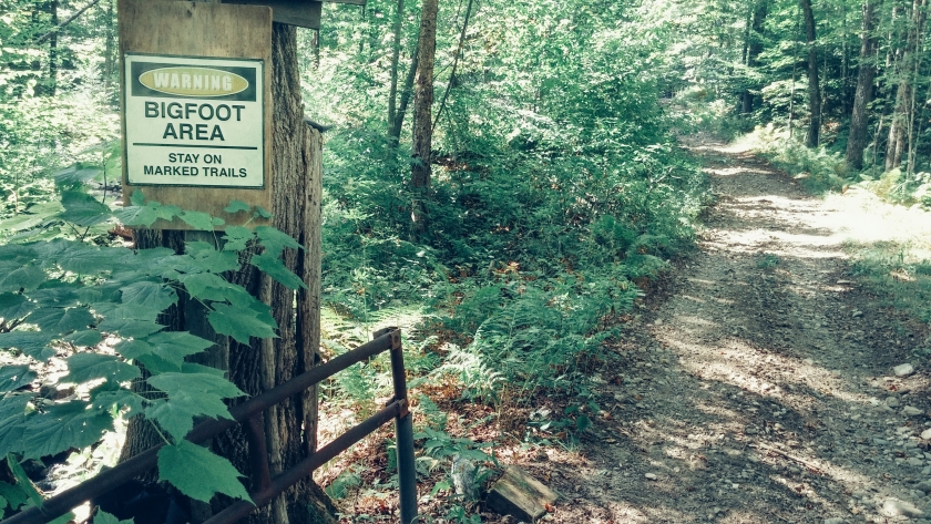 Warning sign in a forest saying "BIGFOOT AREA"