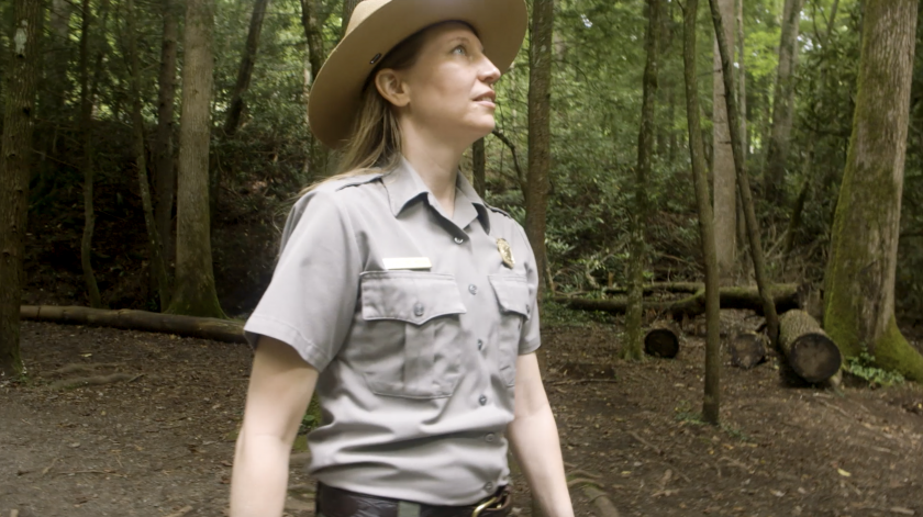 A ranger in uniform walks in a wood