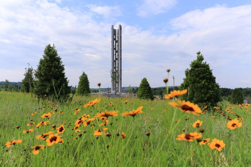 Field of yellow flowers in front of the newly built Tower of Voices at Flight 93 National Memorial