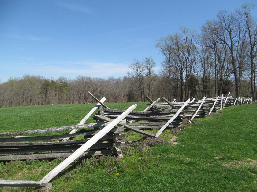 A wooden fence zig-zags across a green field. In the distance, a dense forest of trees
