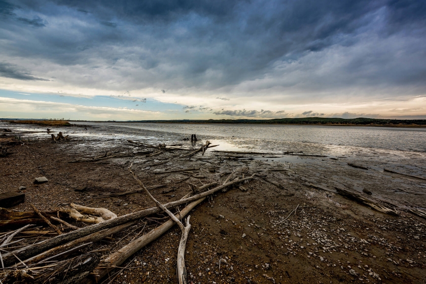 Image of Missouri National Recreational River at dusk with driftwood 