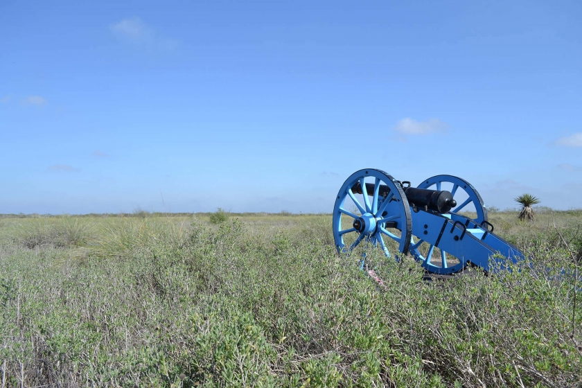 Blue cannon in tall grass