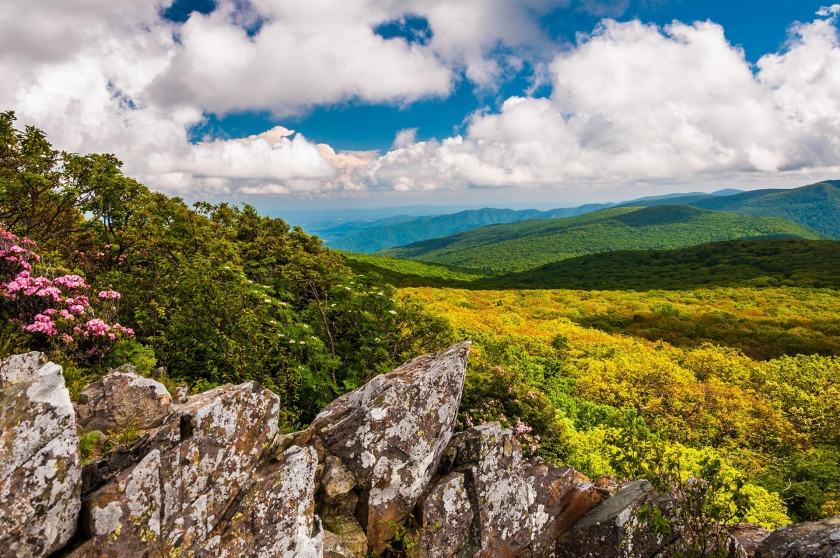 Shenandoah National Park | Find Your Park