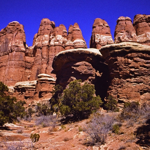 canyon recs elephant park needles district