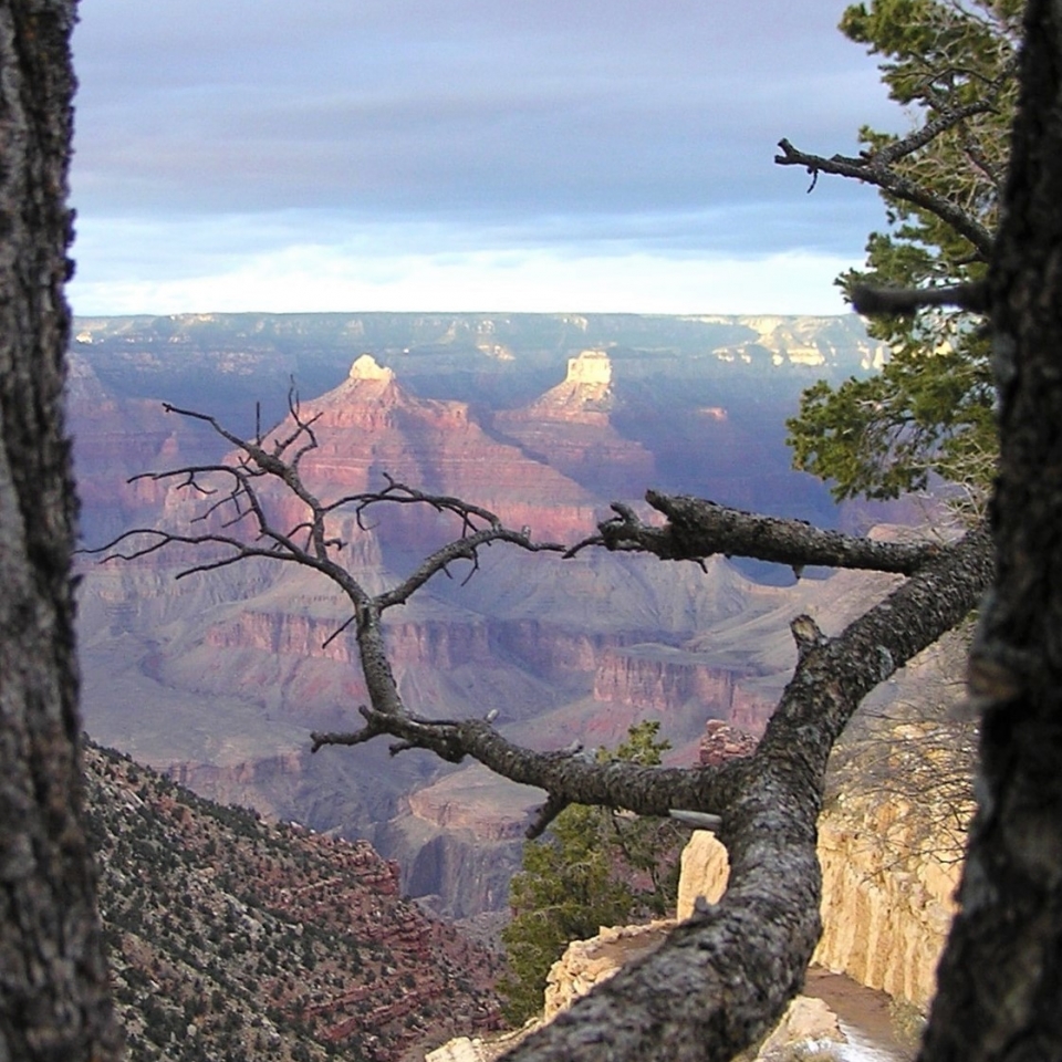 Starting The Bright Angel Trail Find Your Park   Framenaframe 3 